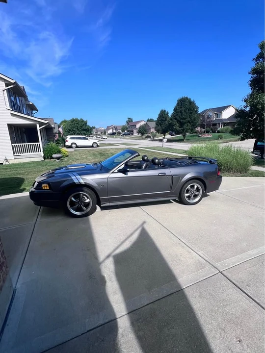 2003 Ford SN95 Mustang - Image 4 of 12