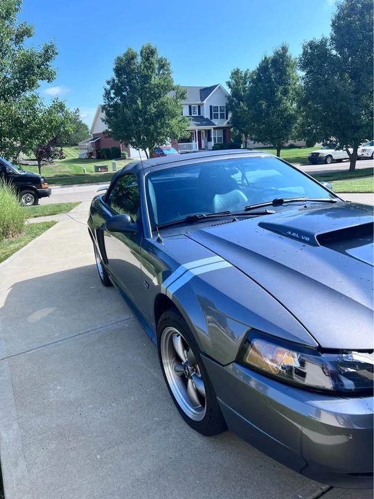 2003 Ford SN95 Mustang - Image 10 of 12