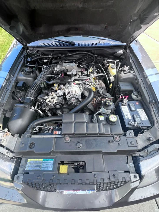2003 Ford SN95 Mustang - Image 3 of 12