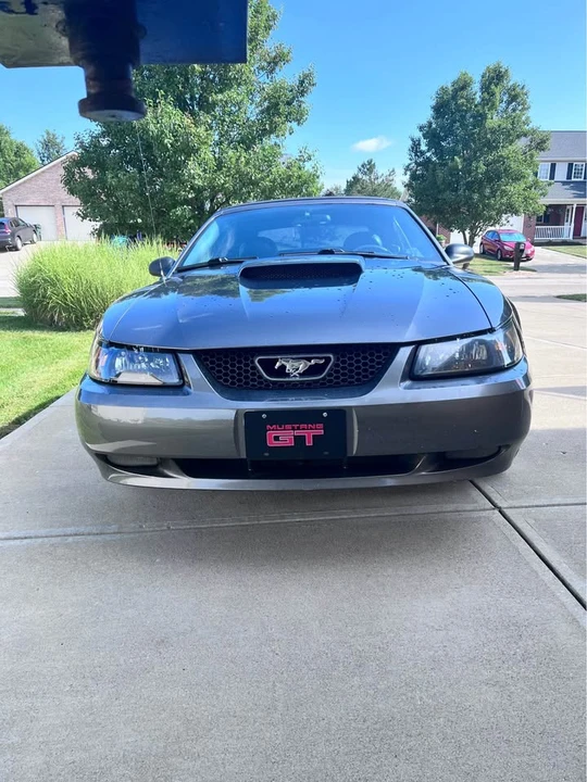 2003 Ford SN95 Mustang - Image 12 of 12