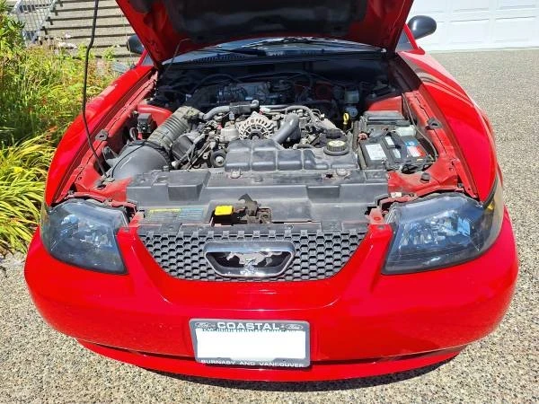 2003 Ford SN95 Mustang - Image 6 of 11