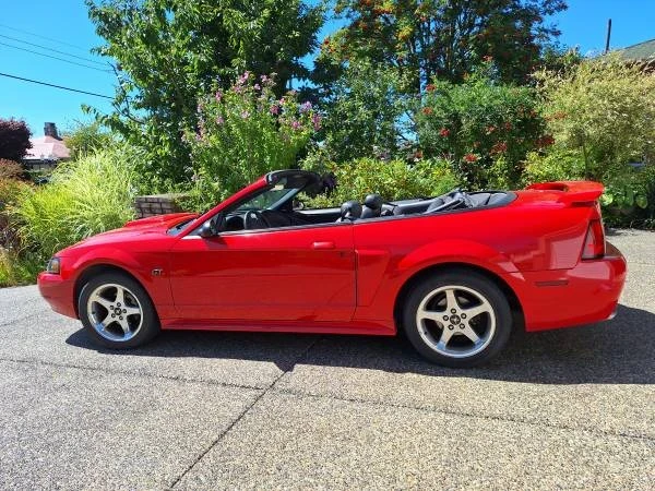 2003 Ford SN95 Mustang - Image 7 of 11