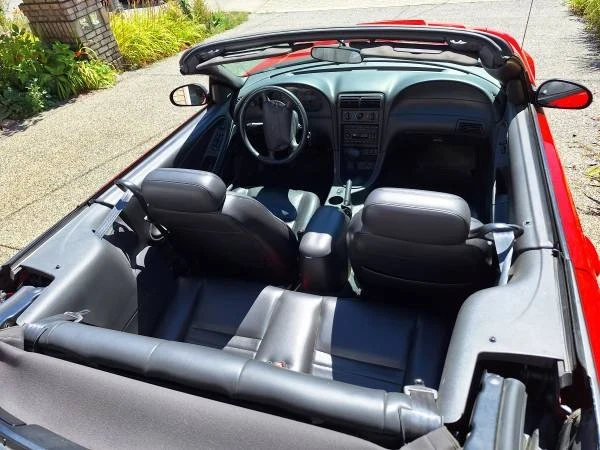 2003 Ford SN95 Mustang - Image 8 of 11