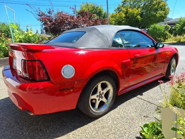 2003 Ford SN95 Mustang - Image 3 of 11