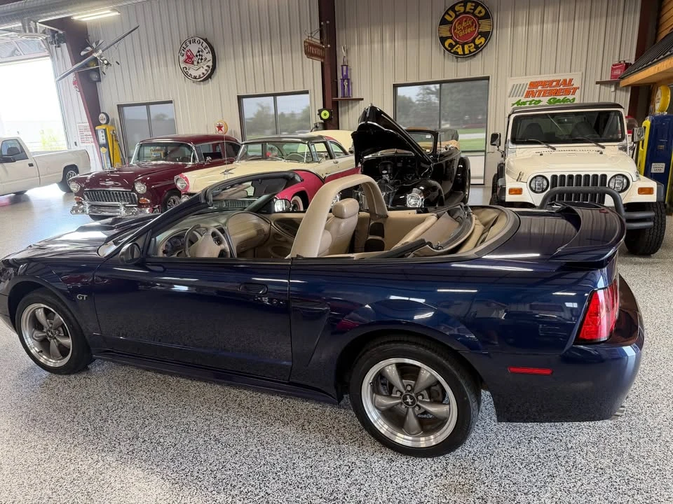 2003 Ford SN95 Mustang - Image 2 of 19