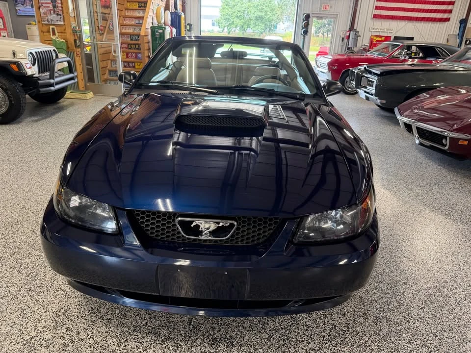 2003 Ford SN95 Mustang - Image 8 of 19