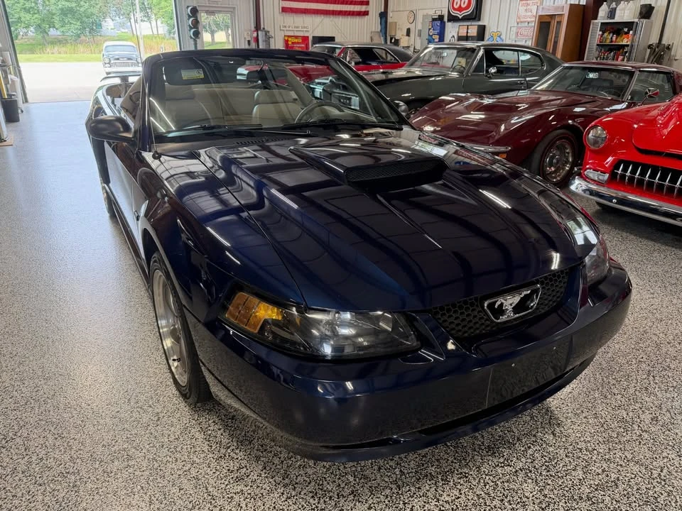 2003 Ford SN95 Mustang - Image 7 of 19