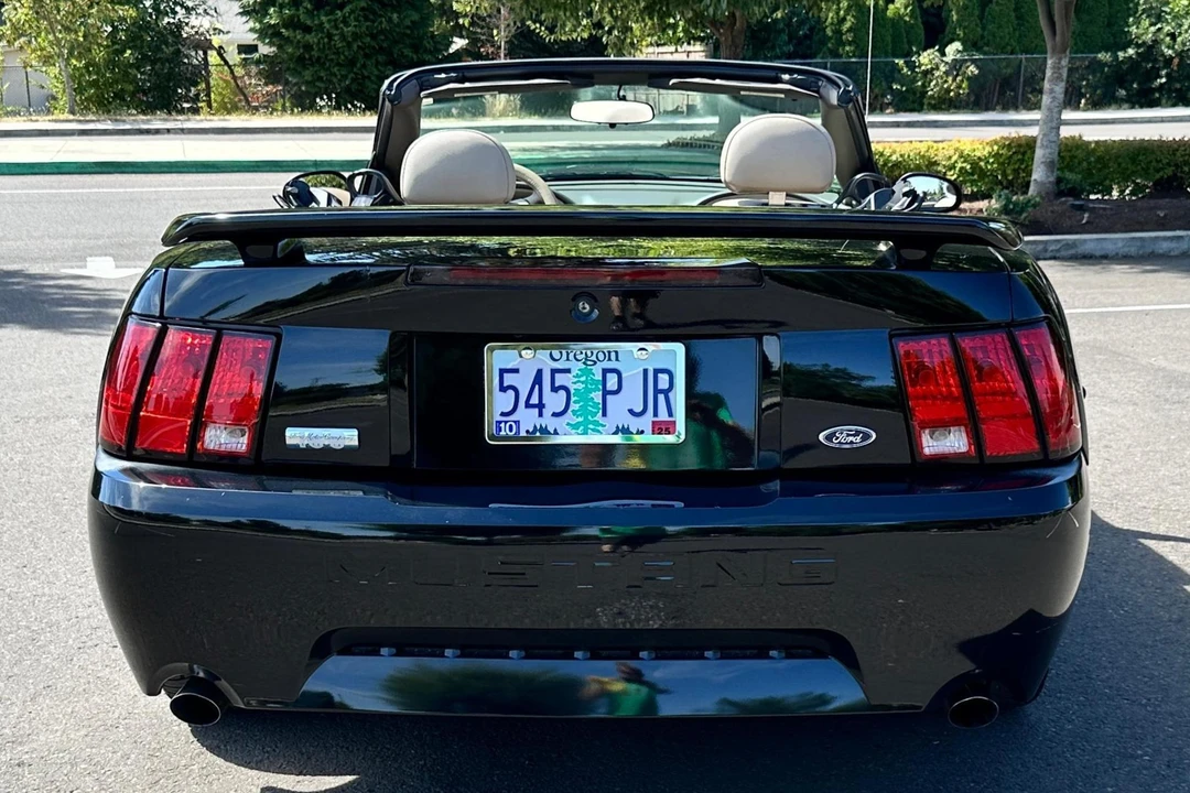 2003 Ford SN95 Mustang - Image 5 of 31