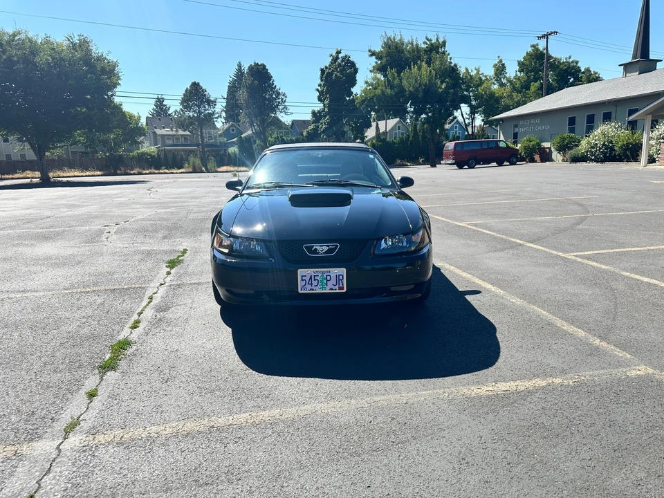 2003 Ford SN95 Mustang - Image 16 of 31