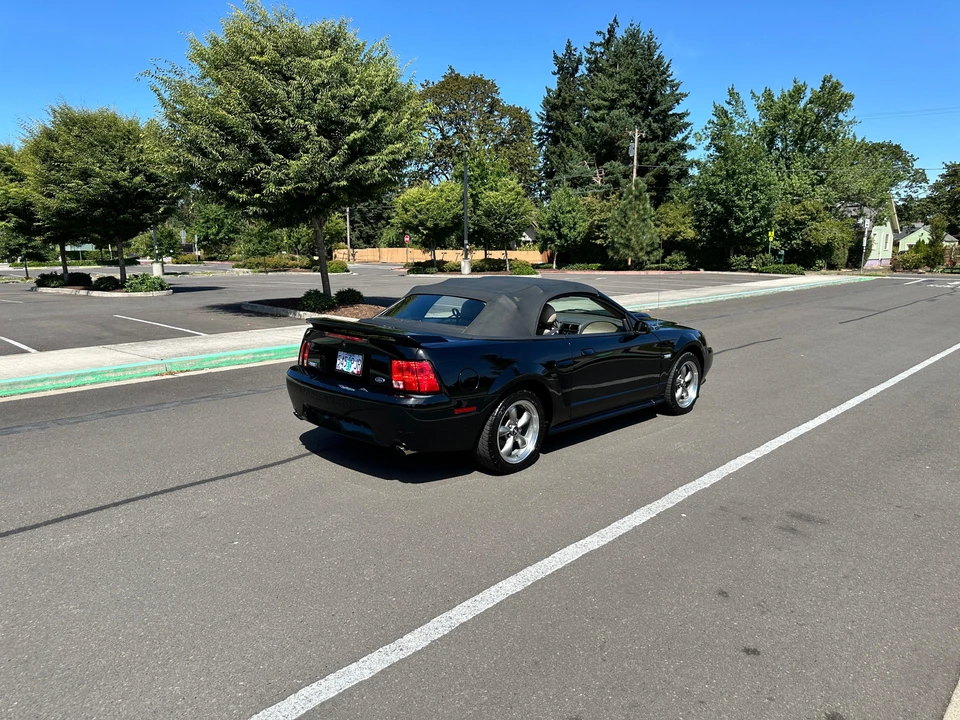 2003 Ford SN95 Mustang - Image 25 of 31