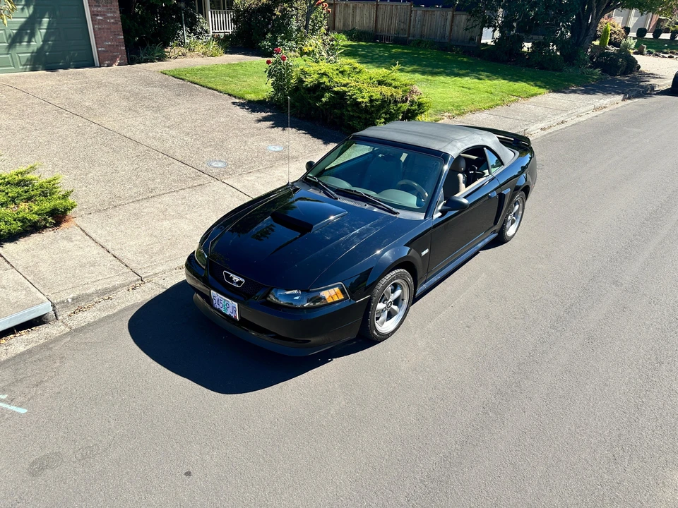2003 Ford SN95 Mustang - Image 18 of 31