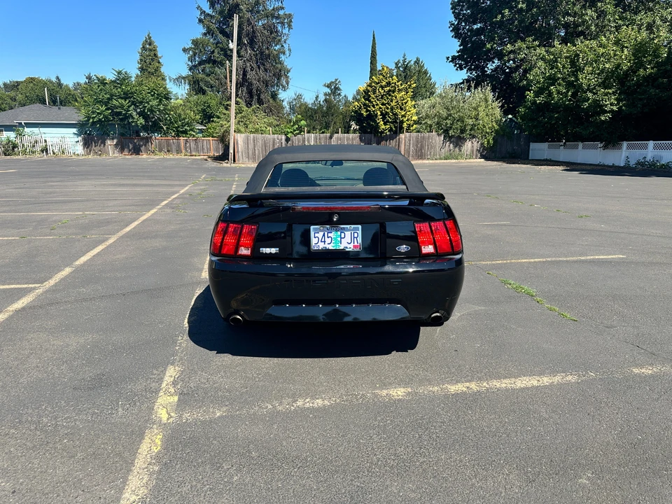 2003 Ford SN95 Mustang - Image 23 of 31