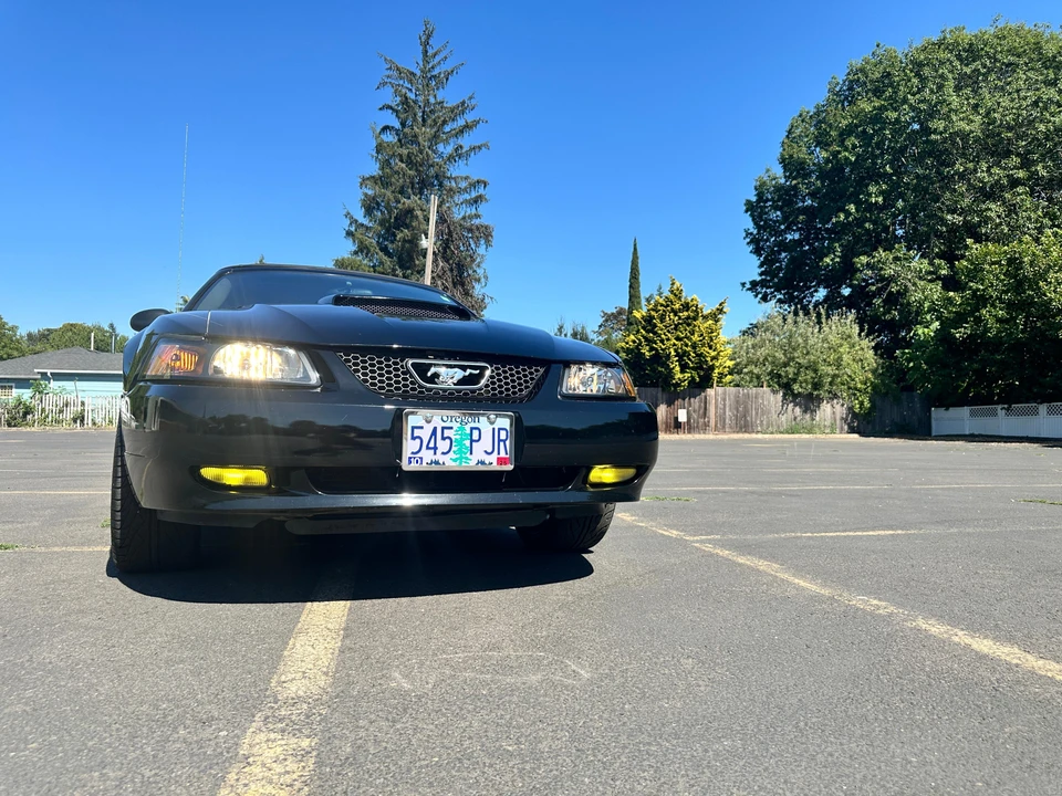 2003 Ford SN95 Mustang - Image 26 of 31