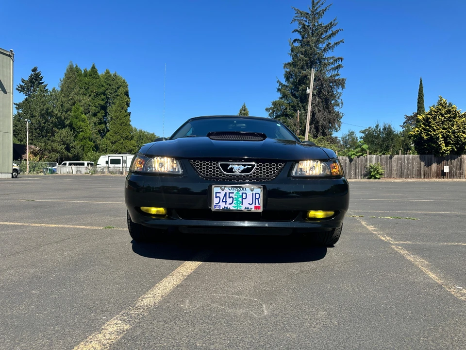 2003 Ford SN95 Mustang - Image 17 of 31