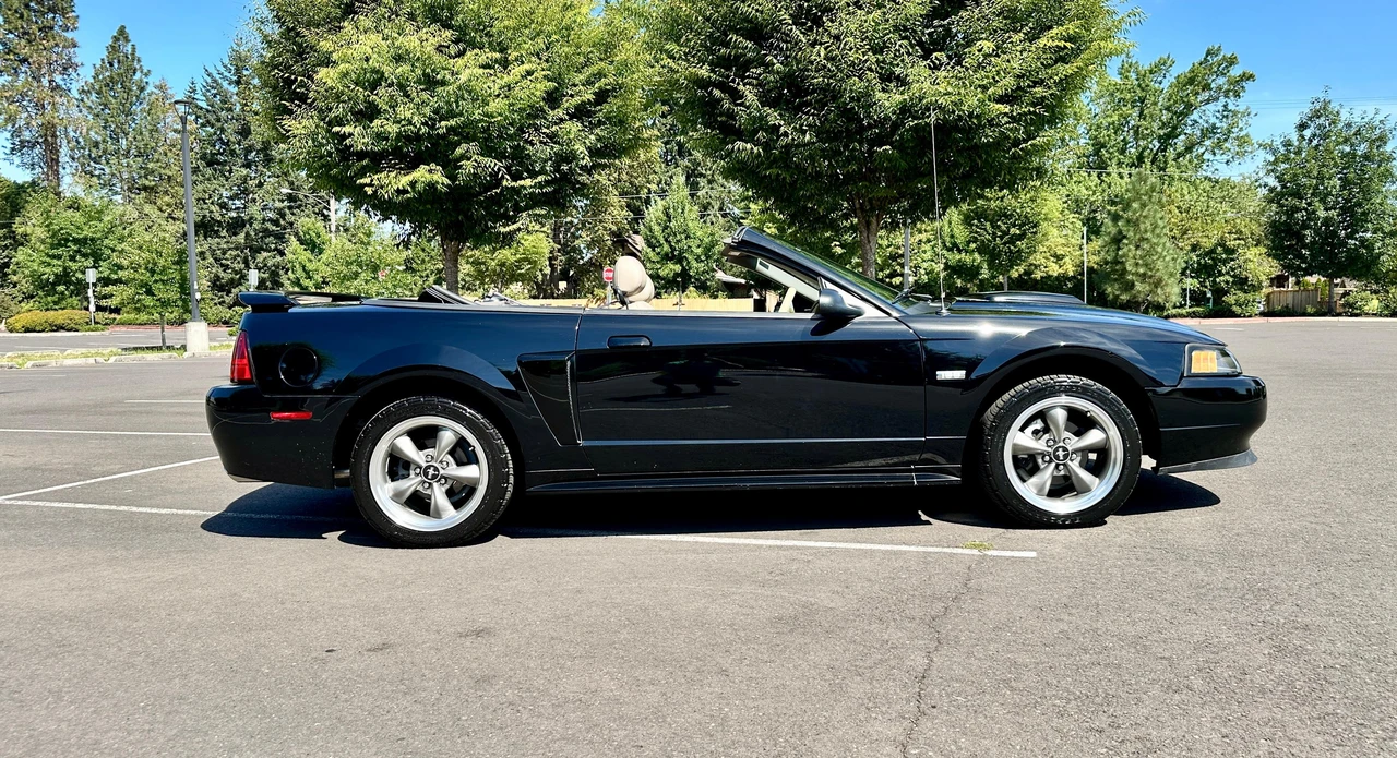 2003 Ford SN95 Mustang - Image 13 of 31