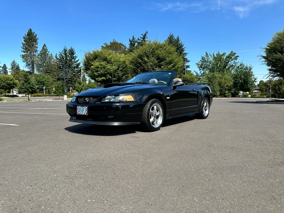 2003 Ford SN95 Mustang - Image 8 of 31