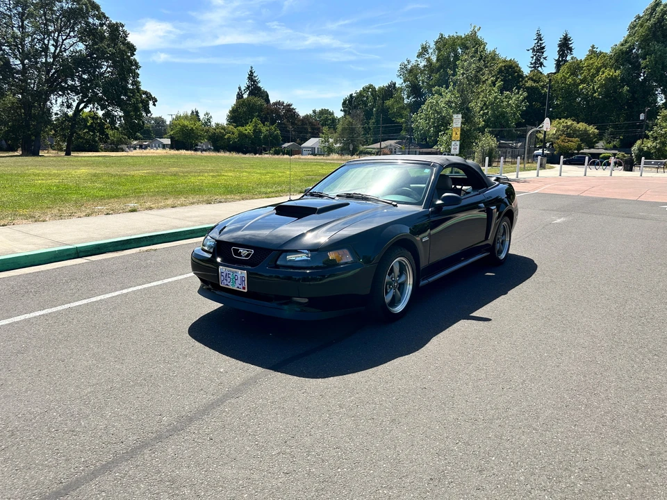 2003 Ford SN95 Mustang - Image 19 of 31