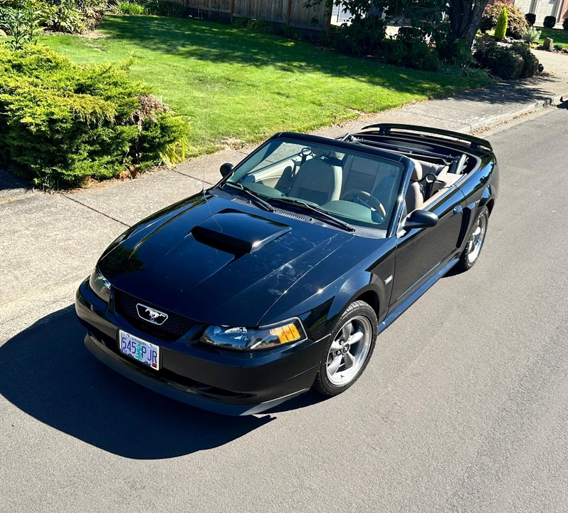 2003 Ford SN95 Mustang - Image 6 of 31