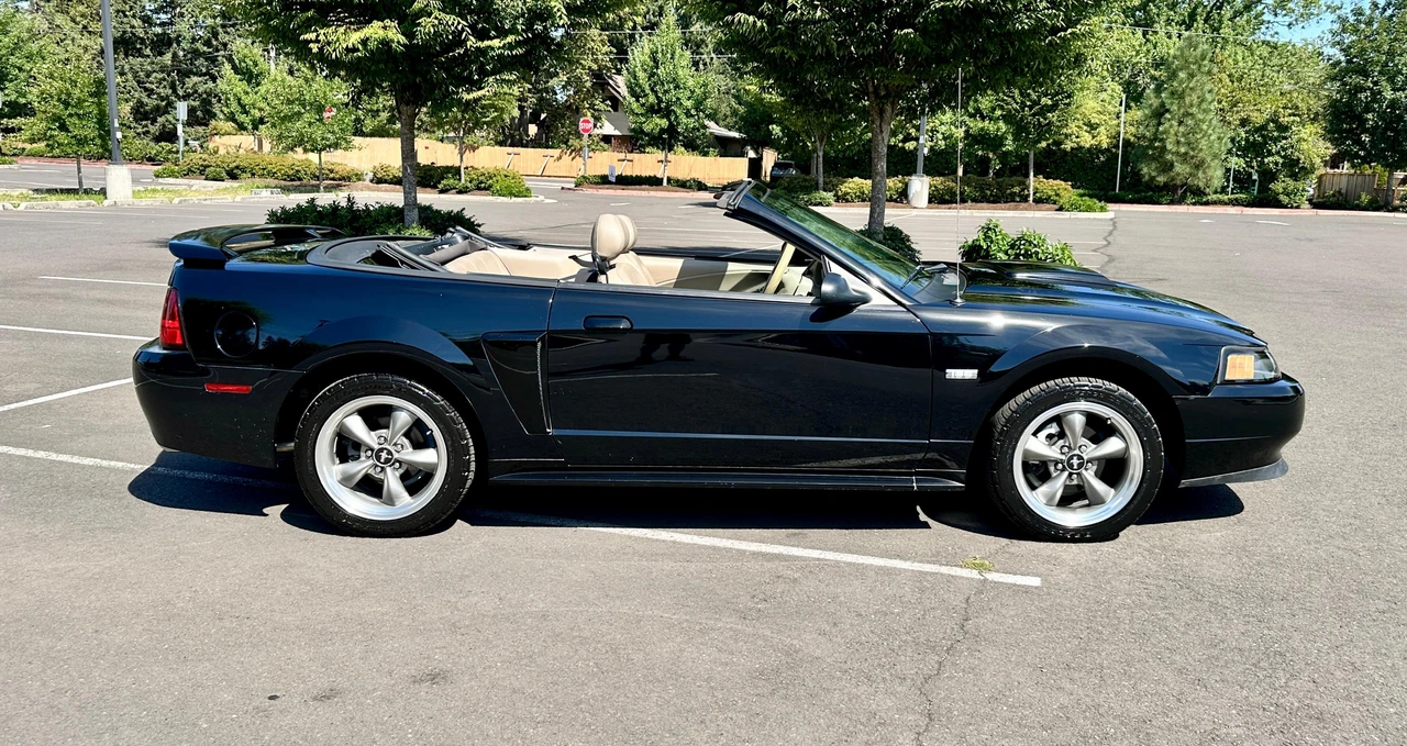 2003 Ford SN95 Mustang - Image 14 of 31