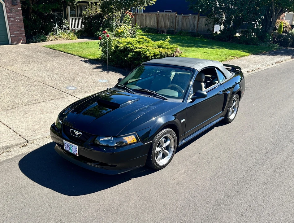 2003 Ford SN95 Mustang - Image 20 of 31