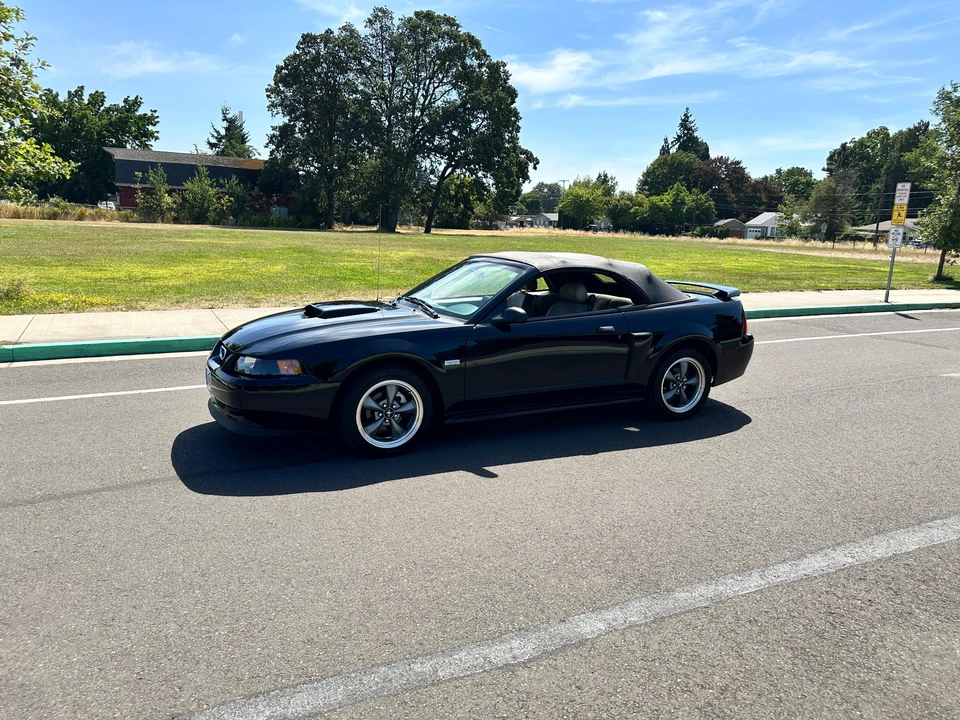 2003 Ford SN95 Mustang - Image 21 of 31