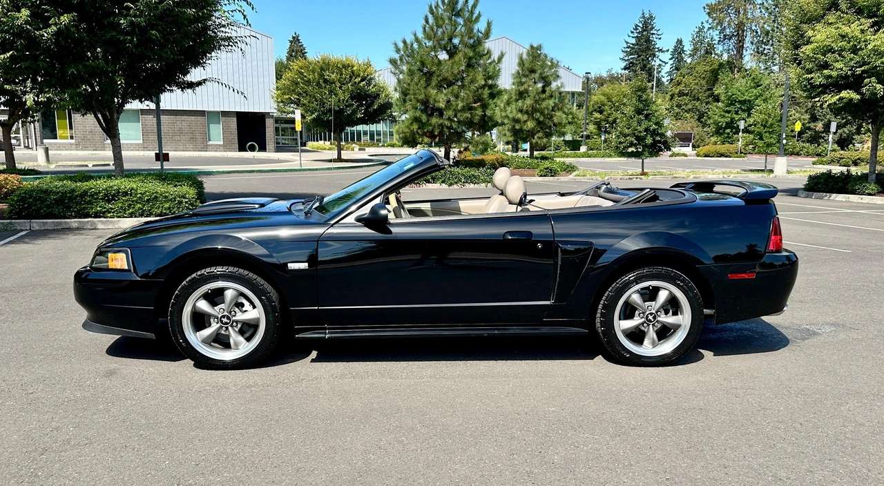 2003 Ford SN95 Mustang - Image 11 of 31