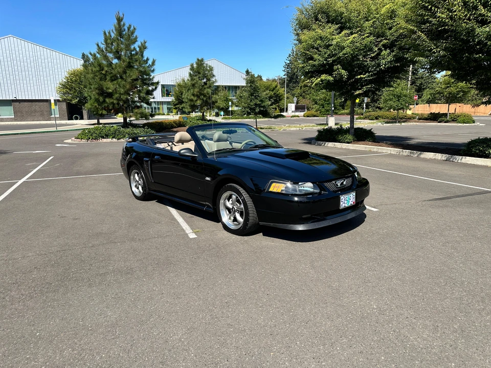 2003 Ford SN95 Mustang - Image 15 of 31