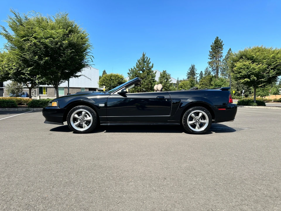 2003 Ford SN95 Mustang - Image 10 of 31