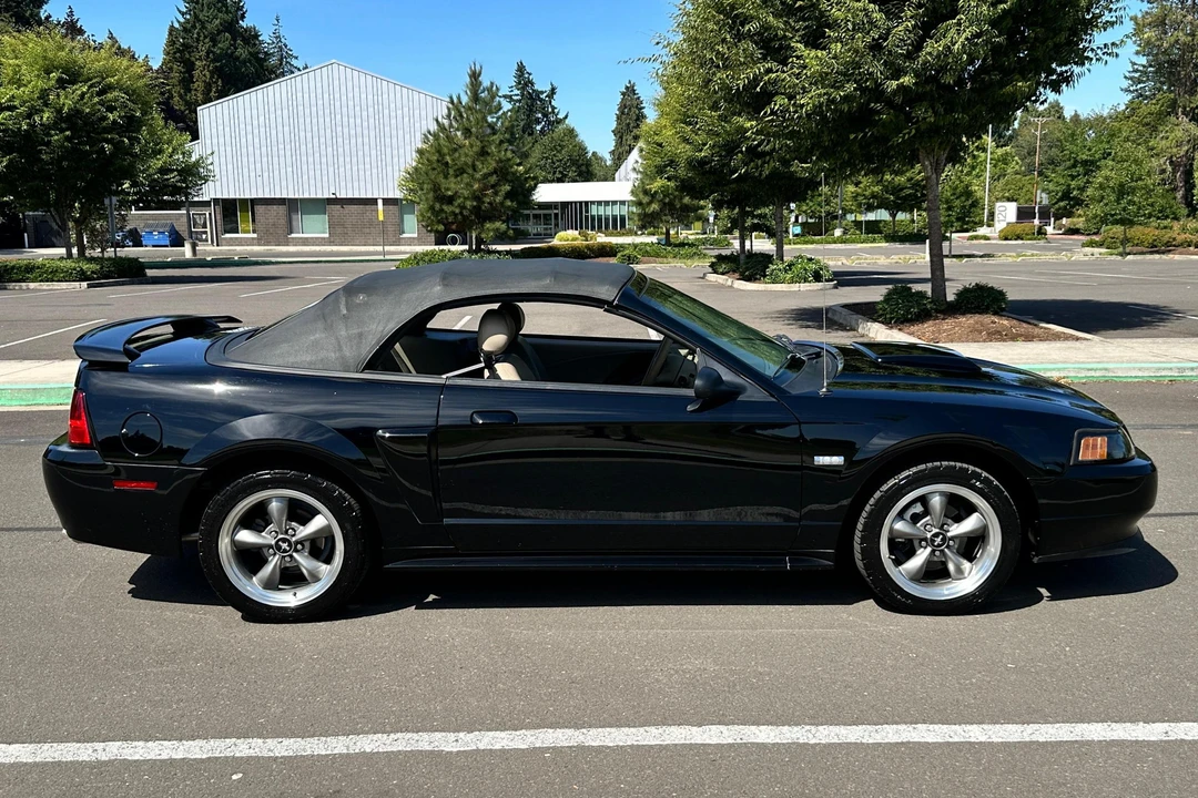 2003 Ford SN95 Mustang - Image 3 of 31