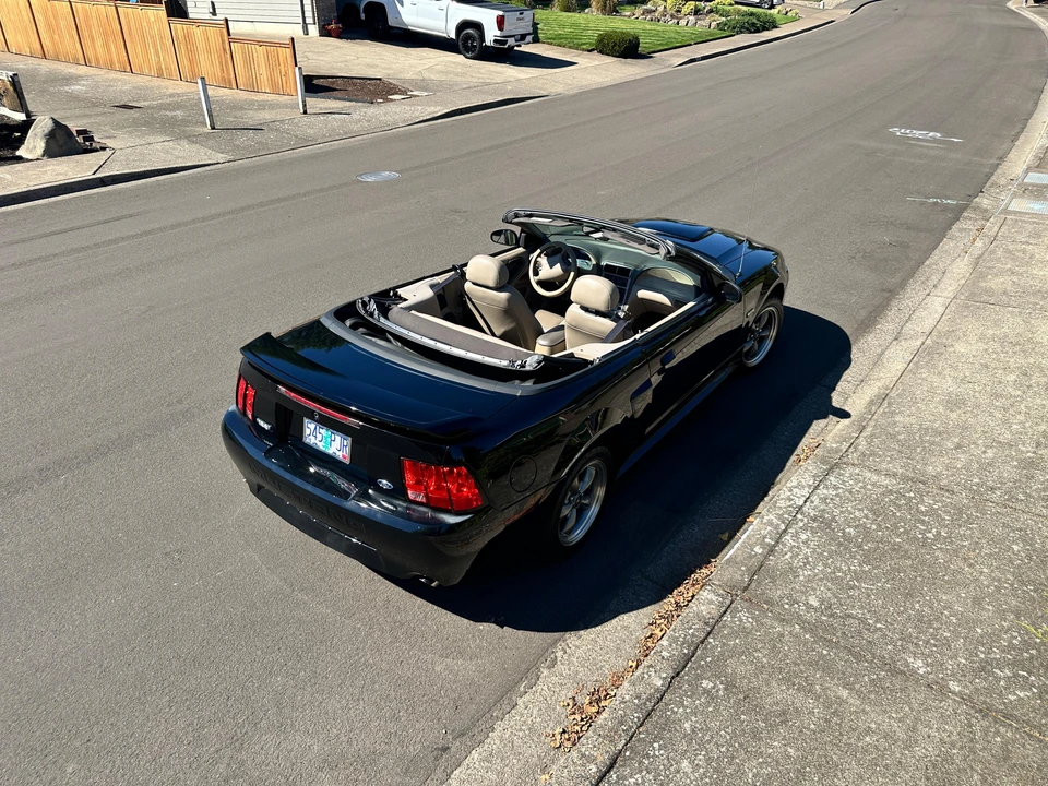 2003 Ford SN95 Mustang - Image 12 of 31
