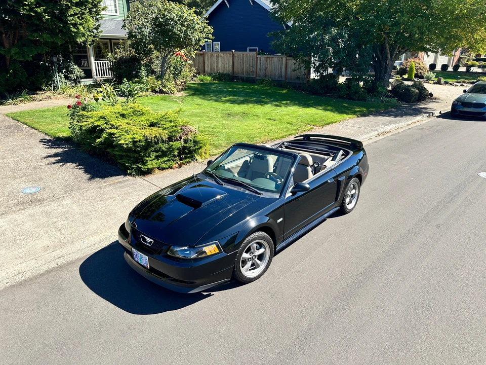 2003 Ford SN95 Mustang - Image 7 of 31