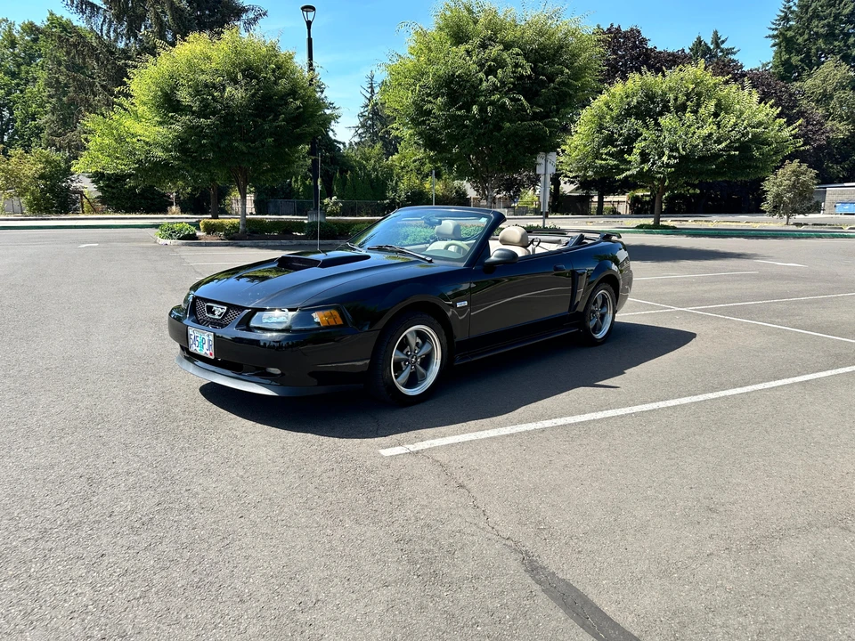 2003 Ford SN95 Mustang - Image 9 of 31