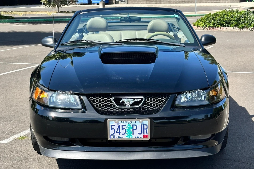 2003 Ford SN95 Mustang - Image 2 of 31