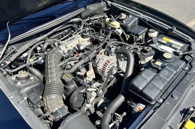 2003 Ford SN95 Mustang - Image 6 of 8