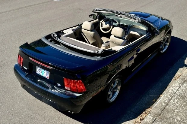 2003 Ford SN95 Mustang - Image 2 of 8
