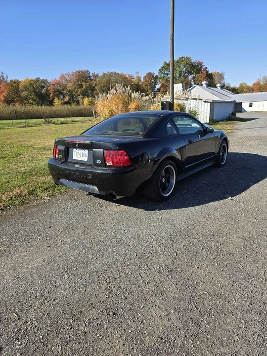 2003 Ford SN95 Mustang - Image 4 of 7