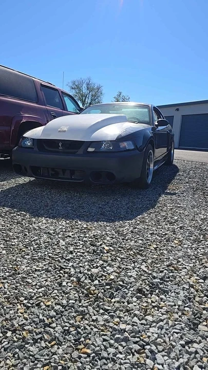 2003 Ford SN95 Mustang - Image 2 of 7