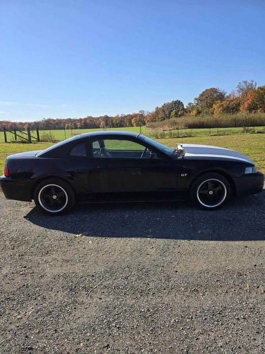 2003 Ford SN95 Mustang - Image 5 of 7