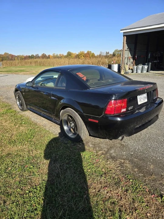 2003 Ford SN95 Mustang - Image 3 of 7