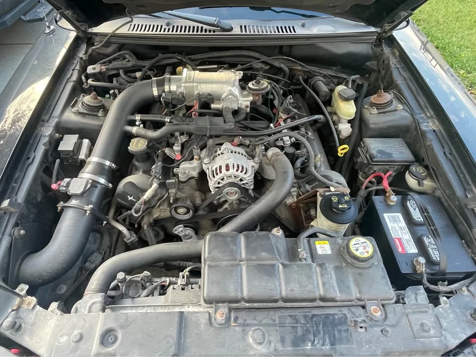 2003 Ford SN95 Mustang - Image 4 of 4