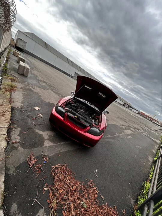 2003 Ford SN95 Mustang - Image 10 of 16