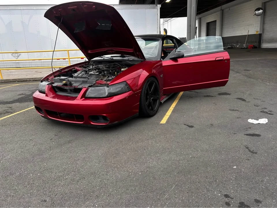 2003 Ford SN95 Mustang - Image 12 of 16