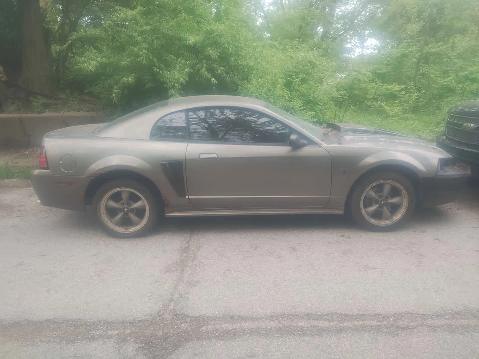 2003 Ford SN95 Mustang - Image 2 of 7