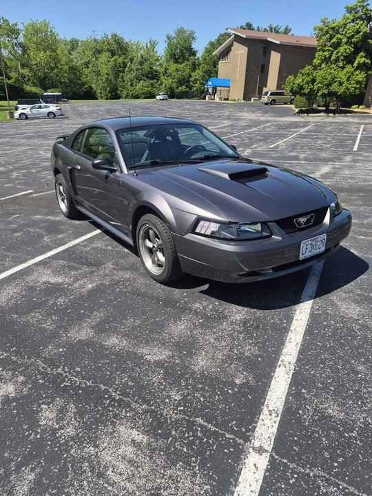 2003 Ford SN95 Mustang - Image 7 of 12