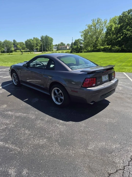 2003 Ford SN95 Mustang - Image 4 of 12