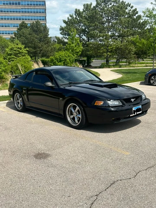 2003 Ford SN95 Mustang - Image 4 of 9