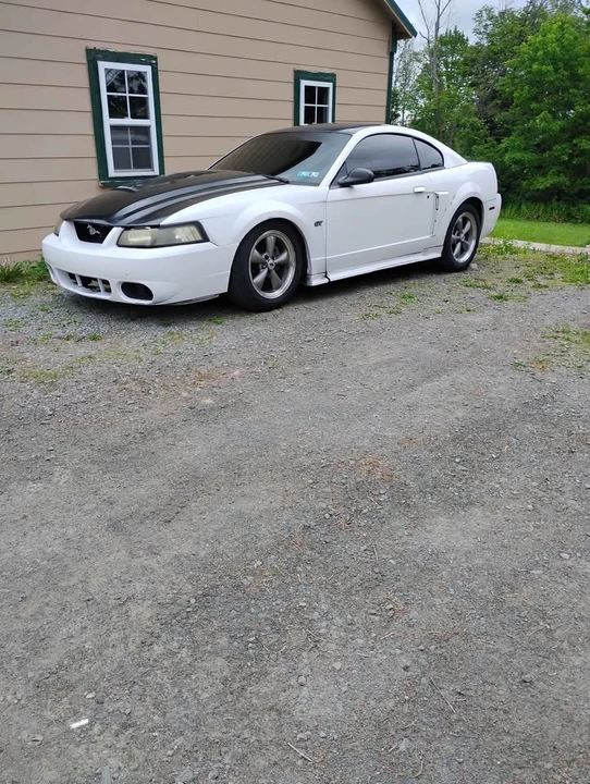 2003 Ford SN95 Mustang - Image 4 of 18