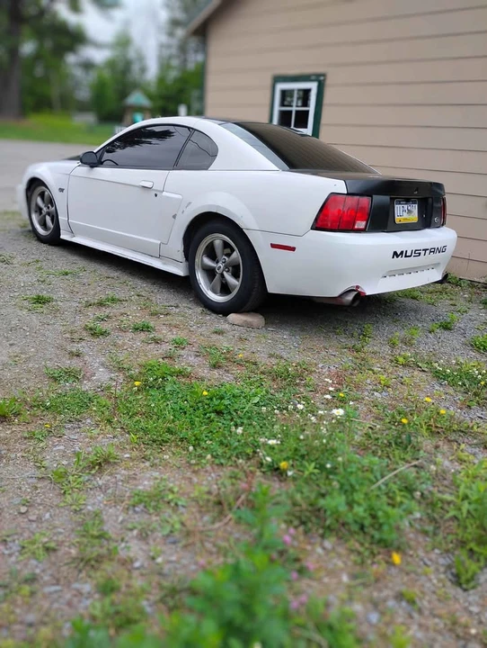 2003 Ford SN95 Mustang - Image 5 of 18