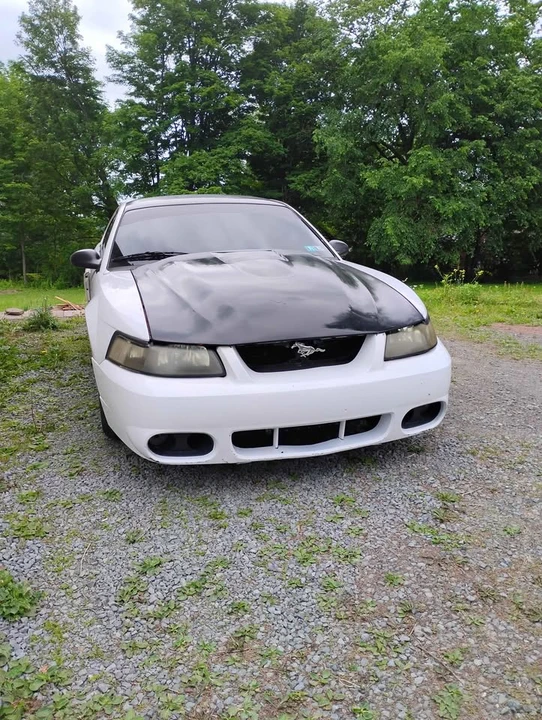 2003 Ford SN95 Mustang - Image 2 of 18