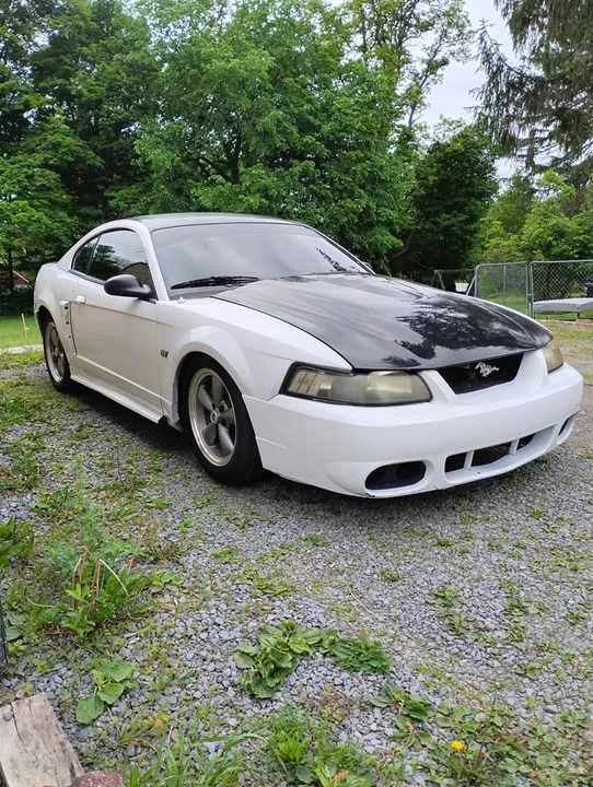 2003 Ford SN95 Mustang - Image 3 of 18